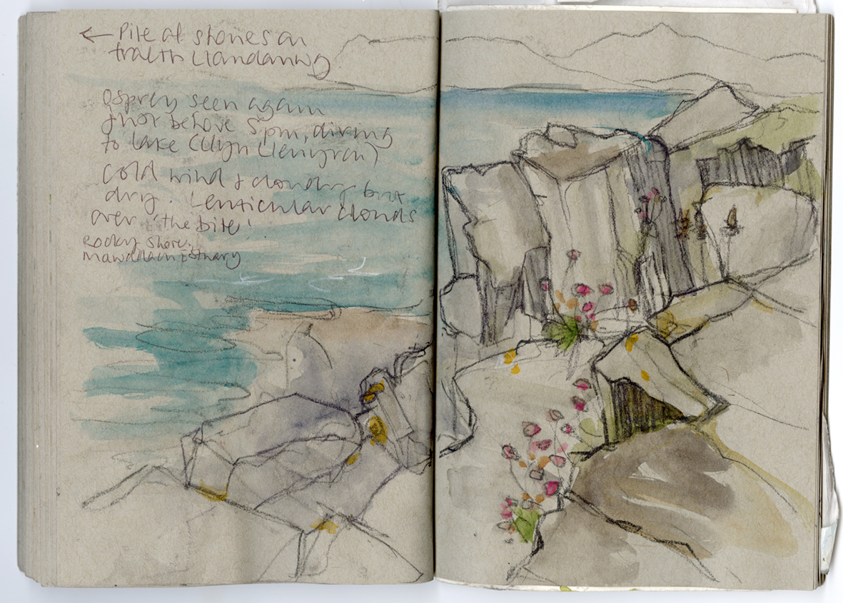 Sketch from the shores of the Mawddach estuary