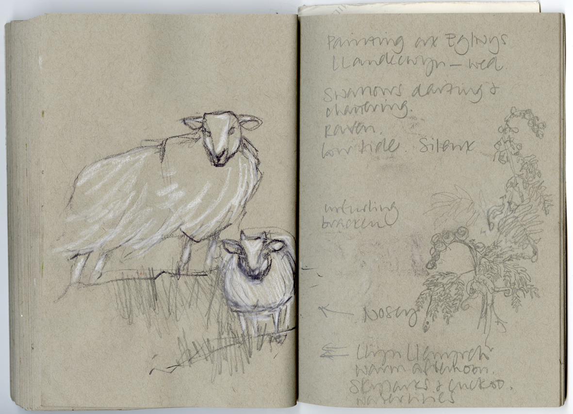 Mother and lamb, and bracken study