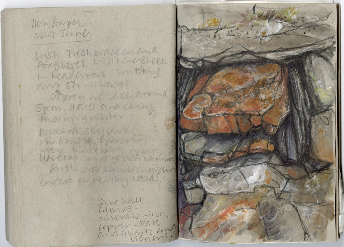 Study of stones in a dry stone wall, Llandecwyn